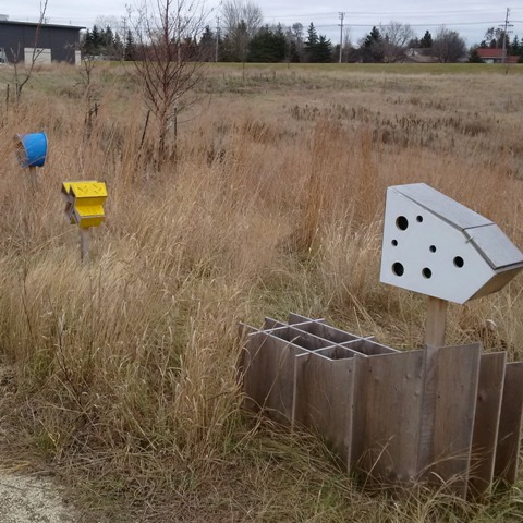 constructed bee nests