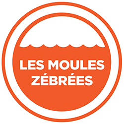 Les moules z�br�es