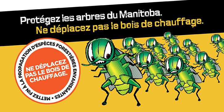 Prot�gez les arbres du Manitoba. Ne d�placez pas le bois de chauffage.