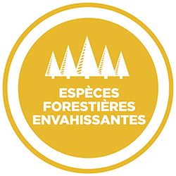 Esp�ces foresti�res envahissantes