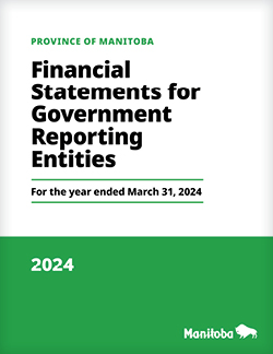 Financial Statements for Government Reporting Entities