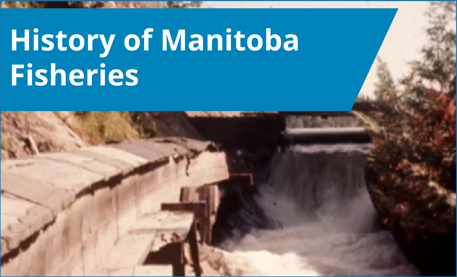 History of Manitoba Fisheries